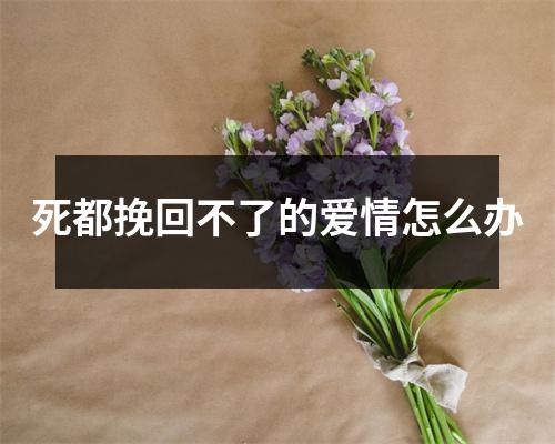 死都挽回不了的爱情怎么办